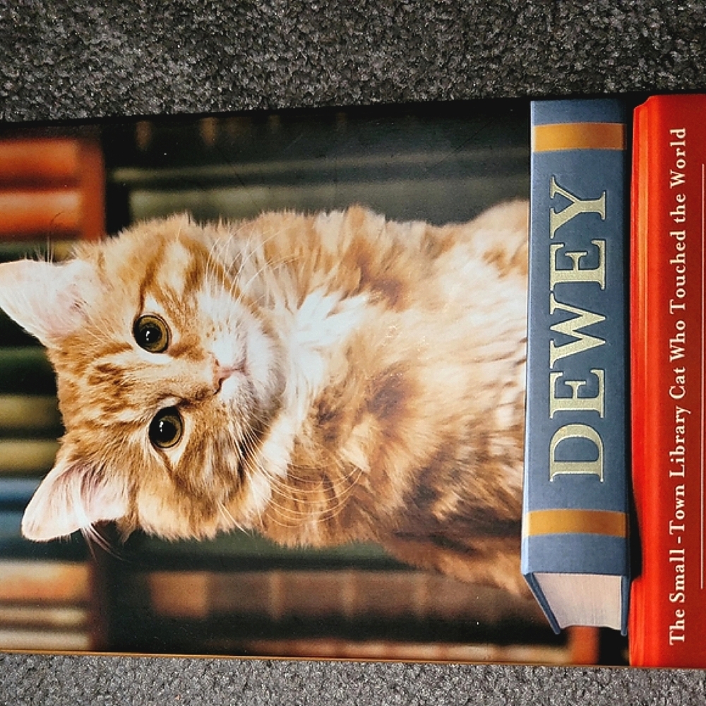 Dewey: The Small-Town Library Cat Book